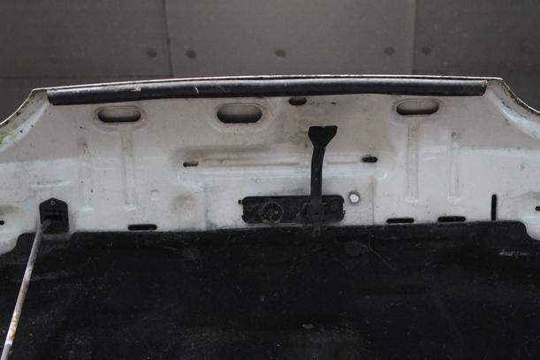 Foto: MOTORHAUBE eines Ford Scorpio Turnier Cup