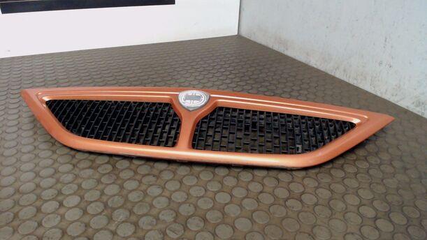 Foto: KÜHLERGRILL eines Lancia Y 1.2 SLX