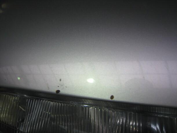 Foto: MOTORHAUBE eines Ford Fiesta Eco