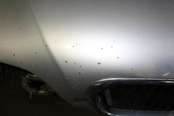 Foto: MOTORHAUBE / DECKEL VORN eines BMW 530d touring Ambiente
