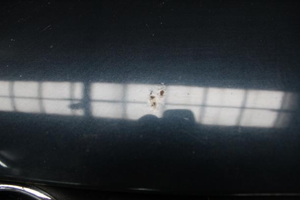 Foto: MOTORHAUBE eines Opel Vectra 1.8 Caravan groove up!