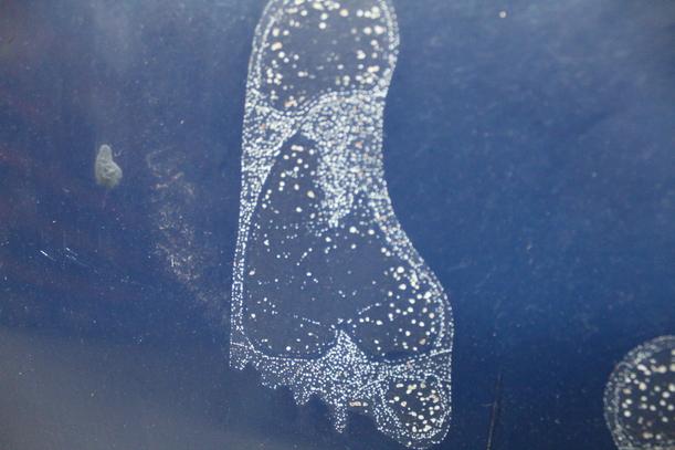 Foto: MOTORHAUBE eines VW Polo GLX
