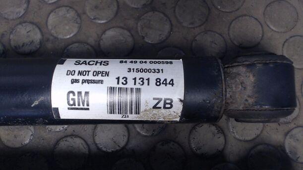 Foto: STOSSDÄMPFERPAAR HINTEN eines Opel Signum 3.0 V6 CDTI