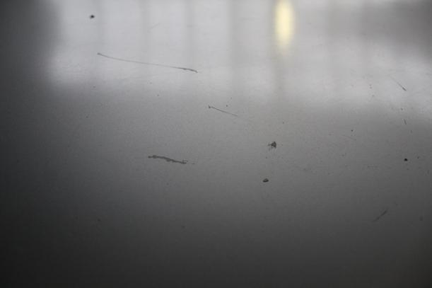 Foto: HECKDECKEL / HECKKLAPPE eines Honda Civic 1.5i