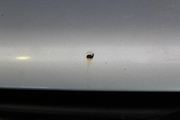 Foto: MOTORHAUBE eines VW Passat Variant 1.8 Executive