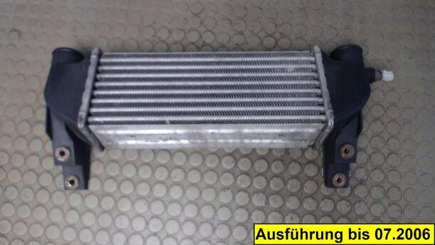 Foto: LADELUFTKÜHLER eines Ford Transit Connect (Lang)