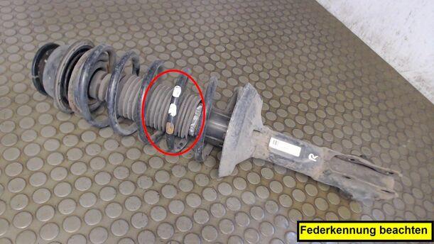Foto: FEDERBEIN VORN RECHTS eines VW Golf 1.8
