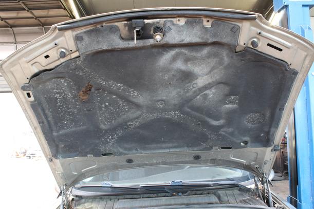 Foto: MOTORHAUBE eines Opel Vectra 1.8 C