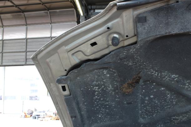 Foto: MOTORHAUBE eines Opel Vectra 1.8 C