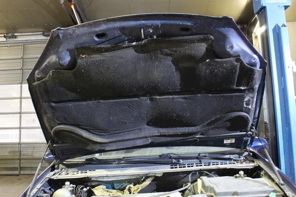 Foto: MOTORHAUBE eines Citroen C5 2.0