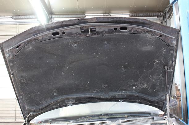 Foto: MOTORHAUBE eines VW Golf 1.4