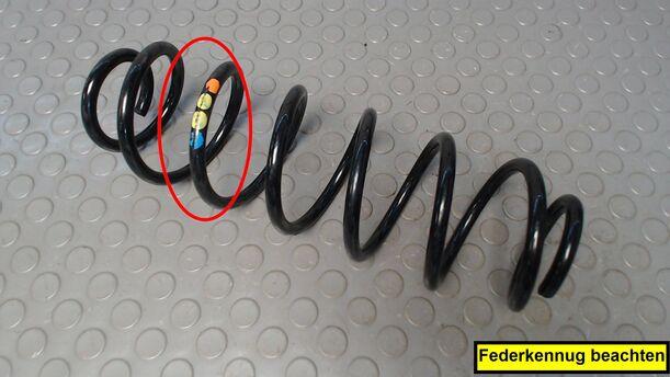 Foto: HINTERFEDER/FEDER HINTEN eines VW Polo 1.2