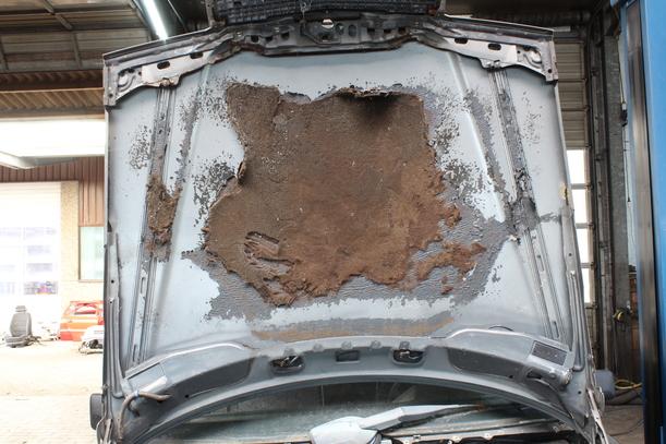 Foto: MOTORHAUBE eines Mercedes-Benz 300 D
