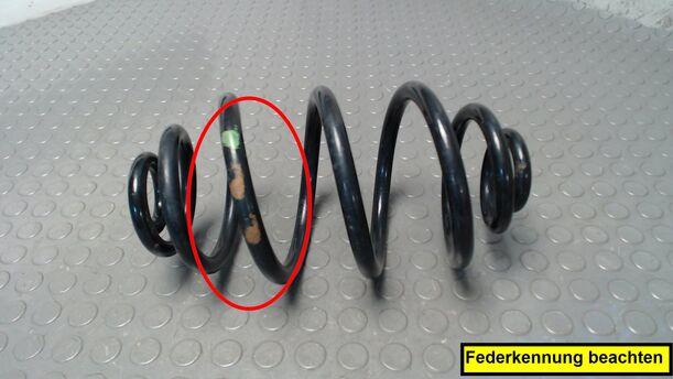 Foto: HINTERFEDER LINKS eines VW Passat Variant 1.6