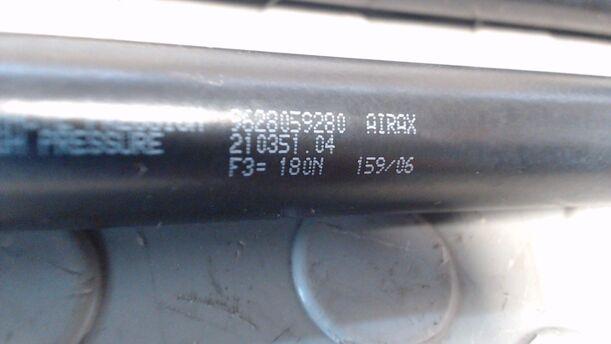 Foto: HAUBENDÄMPFERPAAR eines Citroen C5 Kombi HDi 135 GL