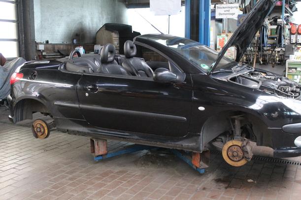 Foto: DACH eines Peugeot 206 CC 110