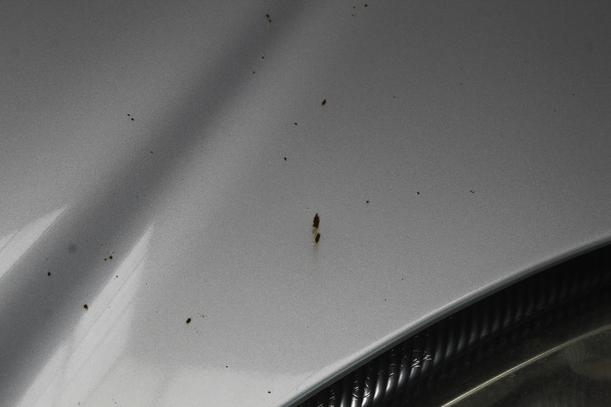 Foto: MOTORHAUBE eines Mercedes-Benz A 140