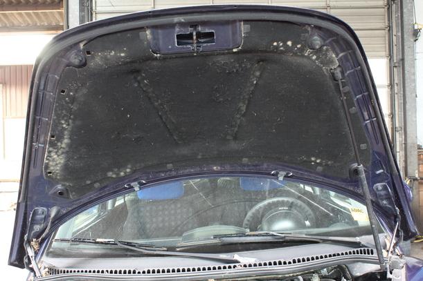 Foto: MOTORHAUBE eines VW New Beetle 1.9 TDI