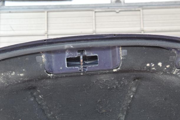 Foto: MOTORHAUBE eines VW New Beetle 1.9 TDI