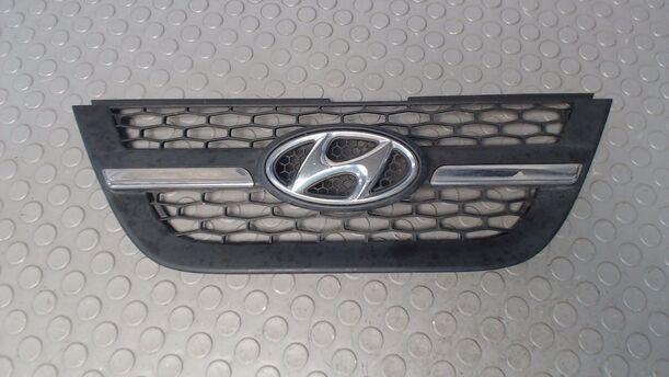 Foto: KÜHLERGRILL eines Hyundai Atos 1.1