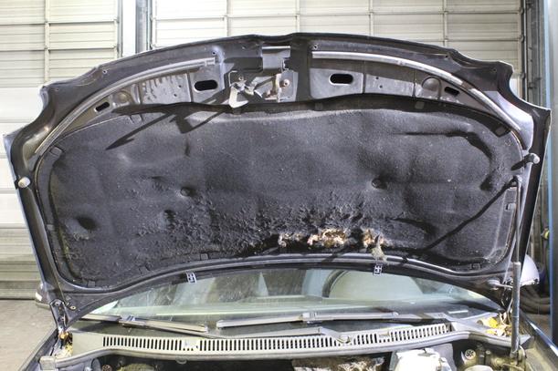 Foto: MOTORHAUBE eines VW Polo 1.4