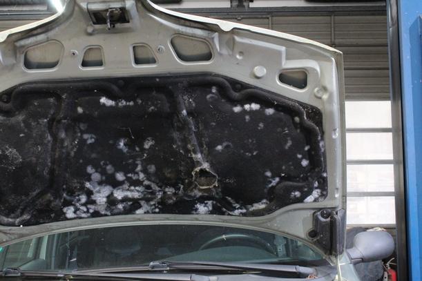 Foto: MOTORHAUBE eines Renault Megane Scenic 1.6e Beauty