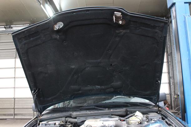 Foto: MOTORHAUBE eines BMW 318i Beauty