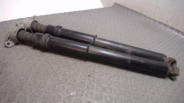 Foto: STOSSDÄMPFERPAAR HINTEN eines Citroen C4 Coupe 1.4 16V TS