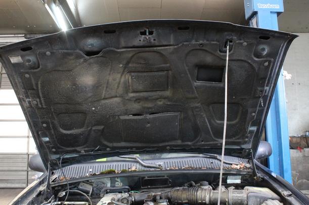 Foto: MOTORHAUBE eines Kia Sportage TS