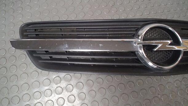 Foto: KÜHLERGRILL eines Opel Meriva 1.6 16V Comfort