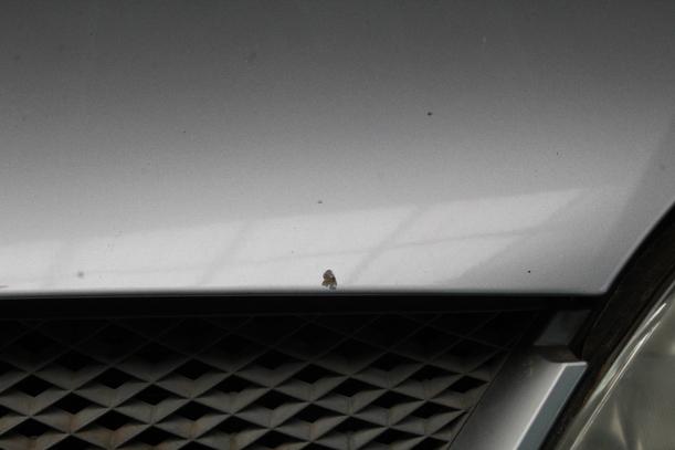 Foto: MOTORHAUBE eines Ford Mondeo 1.8 Turnier SX