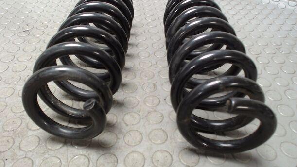 Foto: FEDERPAAR HINTEN eines BMW 118d DPF SX
