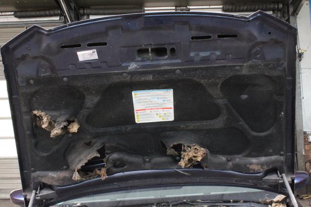 Foto: MOTORHAUBE eines Fiat Stilo 1.2 16V SX