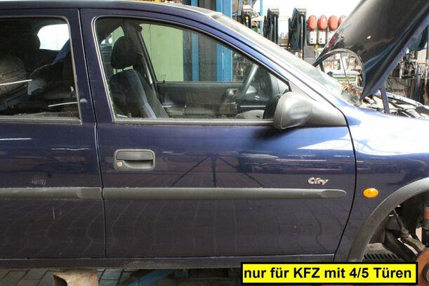 Foto: TÜR VORN RECHTS ( 4/5 TÜRER ) eines Opel Corsa 12V SX