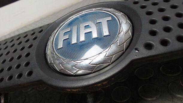 Foto: KÜHLERGRILL eines Fiat Panda 1.1