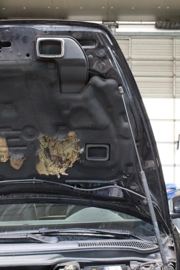 Foto: MOTORHAUBE eines Volvo S40 2.4