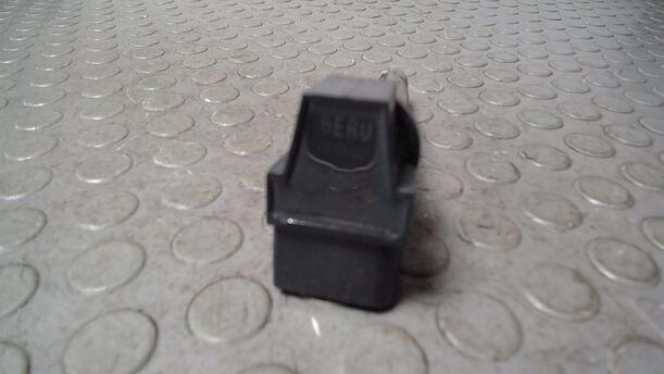 Foto: ZÜNDSPULE ( BERU ) eines Seat Ibiza 1.4 16V GL