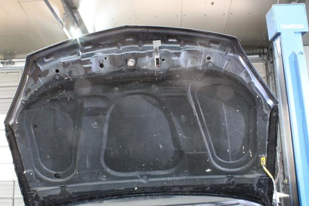 Foto: MOTORHAUBE eines Opel Signum 1.9 CDTI GL