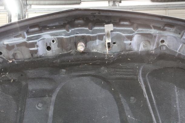 Foto: MOTORHAUBE eines Opel Signum 1.9 CDTI GL
