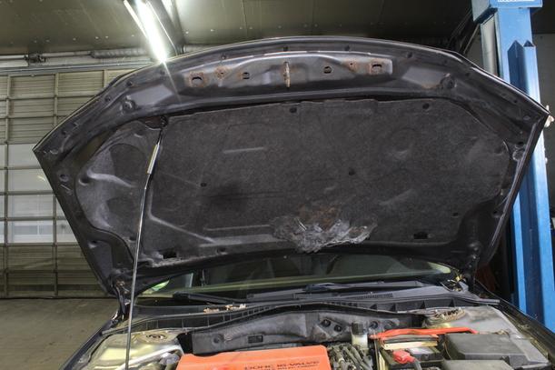 Foto: MOTORHAUBE ( FACELIFT AB 06.2005 ) eines Mazda 6 Sport Kombi 2.0 Elegance