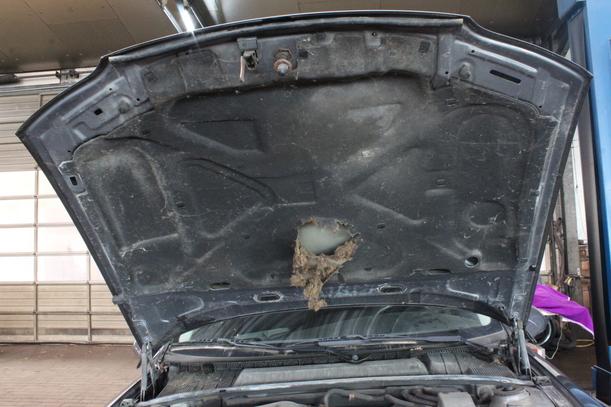 Foto: MOTORHAUBE eines Opel Vectra 1.6 Caravan