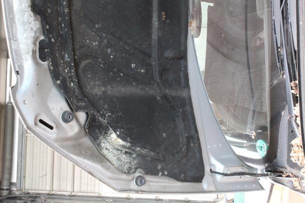 Foto: MOTORHAUBE eines Peugeot 307 HDi SW 110