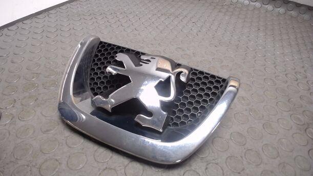 Foto: KÜHLERGRILL eines Peugeot 206+ 60