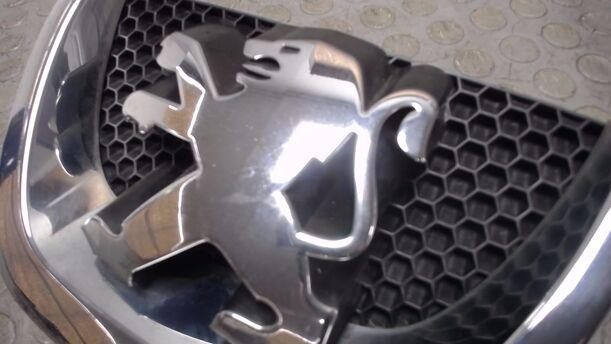 Foto: KÜHLERGRILL eines Peugeot 206+ 60