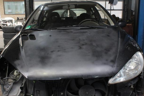 Foto: MOTORHAUBE ( LACKIERUNGSBEDÜRFTIG ) eines Peugeot 206 110