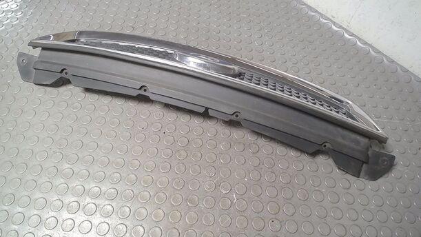 Foto: KÜHLERGRILL eines Ford Focus 2.0 TDCi
