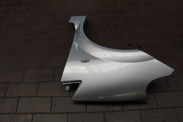 Foto: KOTFLÜGEL LINKS eines Citroen C3 Pluriel 1.4
