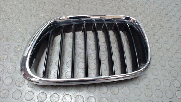 Foto: NIERE LINKS / KÜHLERGRILL LINKS eines BMW X5 3.0 d GL