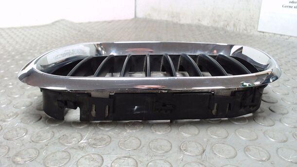 Foto: NIERE LINKS / KÜHLERGRILL LINKS eines BMW X5 3.0 d GL
