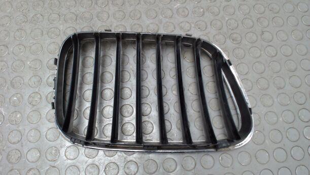 Foto: NIERE LINKS / KÜHLERGRILL LINKS eines BMW X5 3.0 d GL